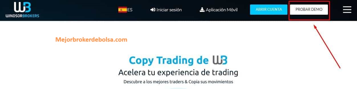 Encontramos link cuenta demo Windsor Brokers